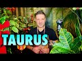 TAURUS January 2022 ♥️ GET READY!! MASSIVE CONFIRMATION | YOU WERE RIGHT! - Taurus Tarot Horoscope