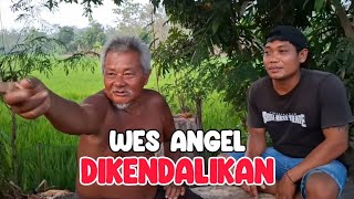 Wes Is Not Controlled