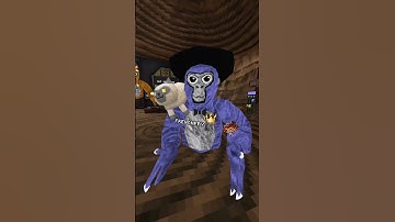 Day 3 of joining my fan code #gorillatag #gorillatagquest #vr #gtag