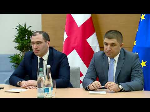 შინაგან საქმეთა მინისტრის მოადგილე ევროპის საბჭოს პომპიდუს ჯგუფის აღმასრულებელ მდივანს შეხვდა