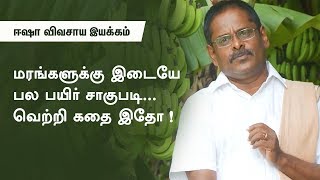 மரங்களுக்கு இடையே பல பயிர் சாகுபடி... வெற்றி கதை இதோ !