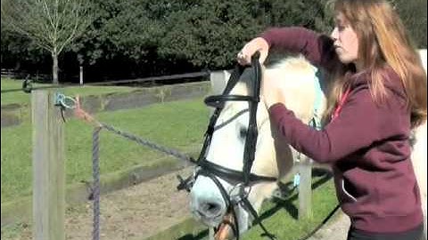 How to fit a bridle onto a Pony with Duggie! | PONY Magazine