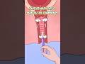 This Is Why Girls Switch to Tampons #animation #uscomedy #womenshealth