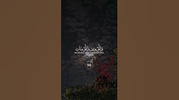 #تلاوات #قران #تلاوة_خاشعة #قران_كريم #اكسبلور
