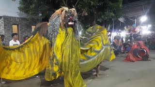 Download Lagu Singo mudho | rampak barongan jaranan kendal live purwosari - patebon MP3