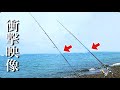 大物だらけの砂浜で2本竿で釣りしたら確率2倍じゃね？やってみた結果…とんでもない事になりました。