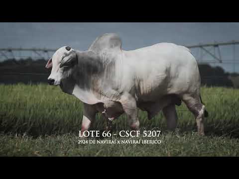 LOTE 66   CSCF 5207