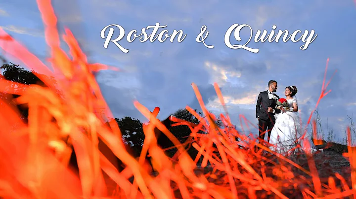 Roston & Quincy | Goan wedding Highlights |Robin E...