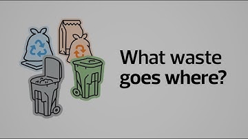 Waste Services | What Waste Goes Where?