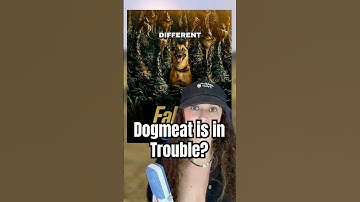 Dogmeat may be in trouble #fallout #falloutonprime #falloutnv