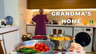Inside My Iranian Grandma’s Cozy Home: Persian Treasures & Sunlit Geraniums 👵🏡
