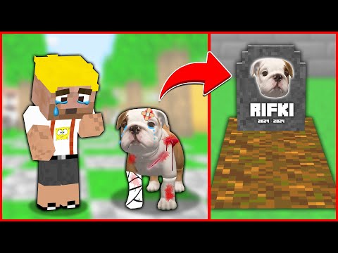 EFEKAN'IN KÖPEĞİ ÖLDÜ! 😱 - Minecraft ZENGİN FAKİR HAYATI