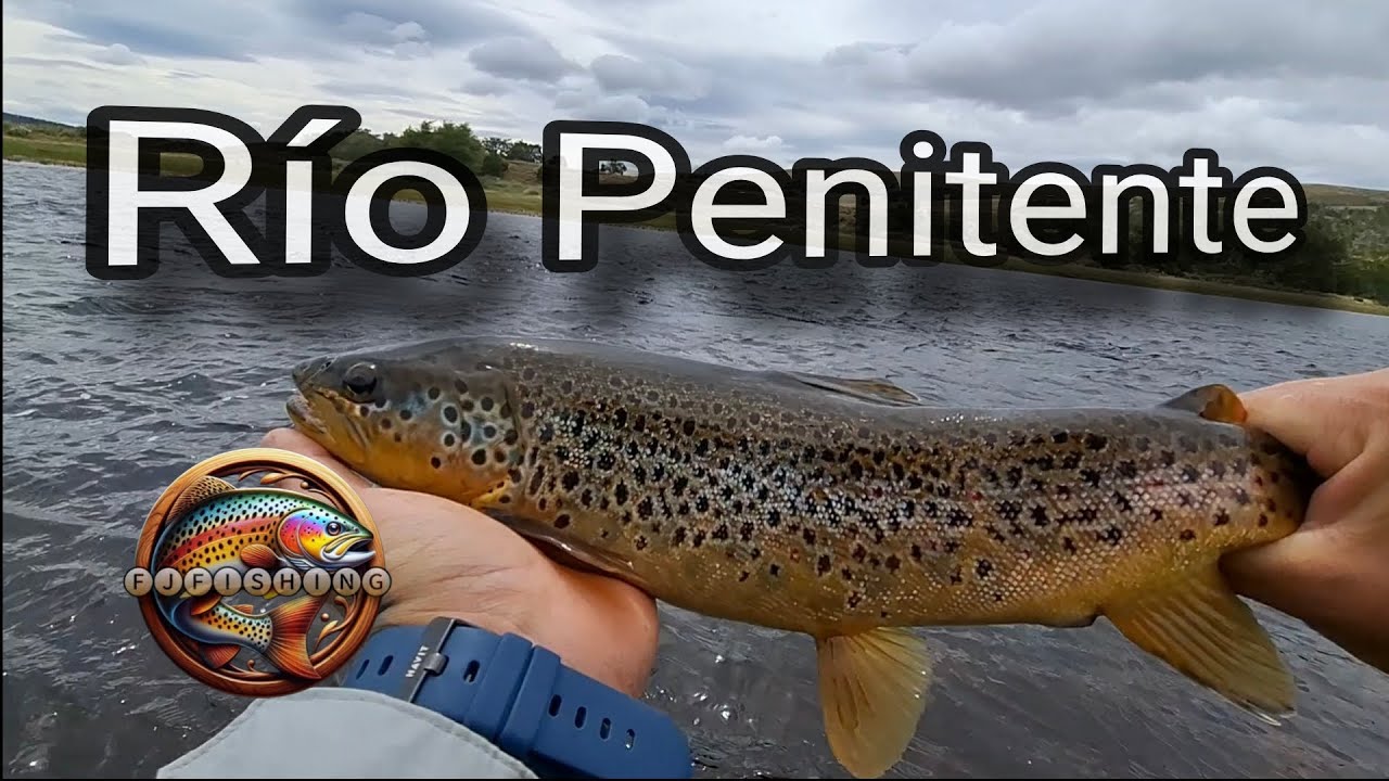 🫡Regresamos a Penitente💪🏻🔥🎣