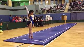 Hong Kong 2017 Interschool Gymnastics Compeion Novice Group- Fx