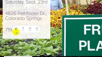 Adobe Spark: Pages (Glideshow)