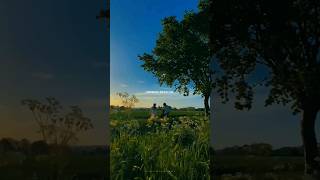 Falak Dekhun Whatsapp Status Lyrics Video Aesthetic Edit Vibes