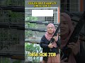 UPDATE STOK SENAPAN GEJLUK DWP PASOPATI MULAI 1 JUTAAN