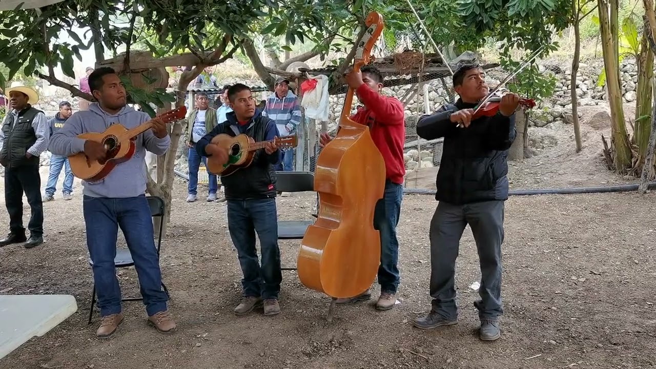 Conjunto de Cuerda Roca Musical de San Mateo Peñasco