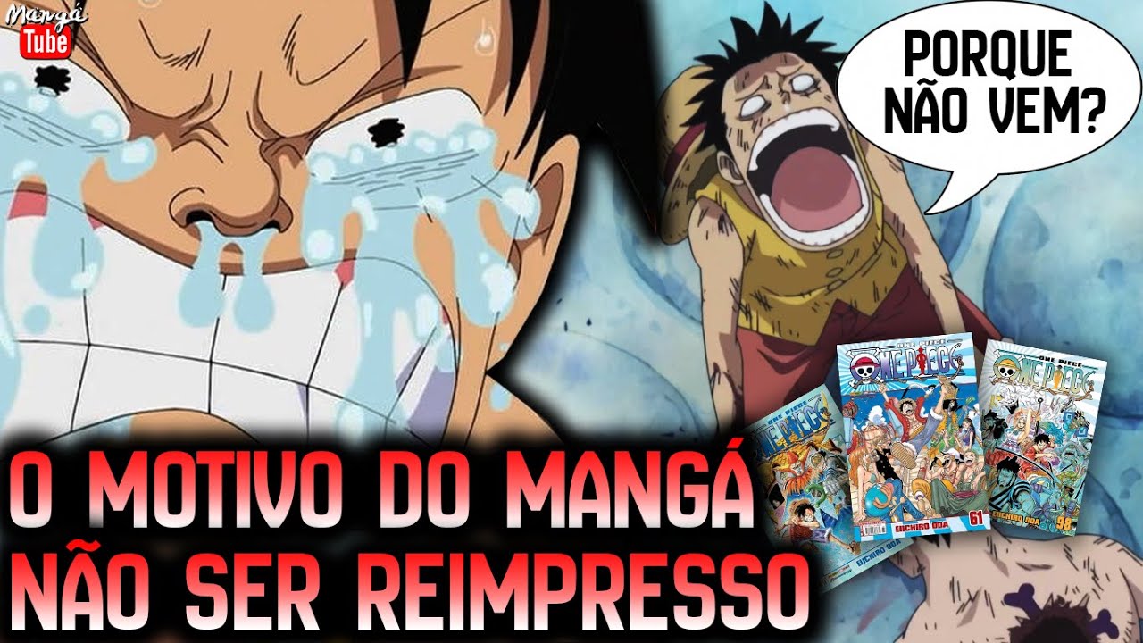  Anime One Piece será relançado no Brasil