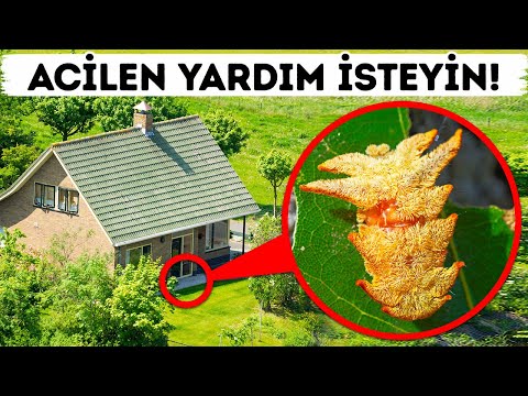 Video: Açığı Gidermek