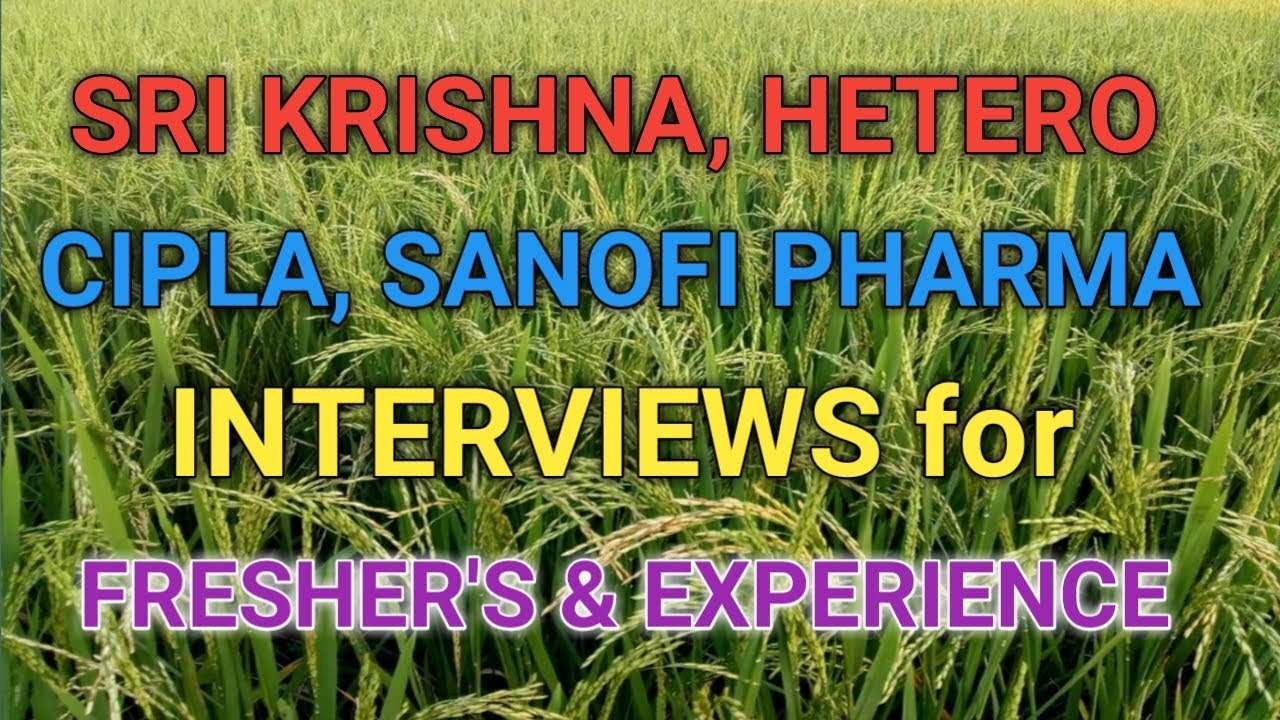 Srikrishna Hetero Cipla Sanofi Pharma Walk in Interviews for Freshers and Experience | PHARMA JOBS | jobs for freshers in dubai