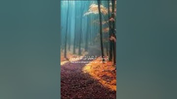 سورة التوبه  صوت جميل