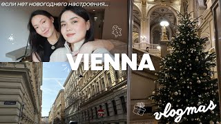 ВПЕРВЫЕ В ВЕНЕ С ПОДРУГОЙ 🎄 Европейские Рождественские ярмарки, Опера, колесо обозрения, завтрак