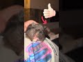 Staubsauger-Modus aktiviert! 🐹💨