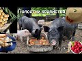 Держим хозяйство на хуторе и в деревне!Свой сыр из козьего молока!Малина поспела!