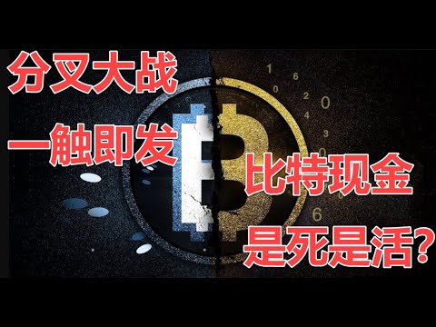 比特现金 | BCH | 分叉在即，BCH的前世今生，比特币教父，比特大陆 吴忌寒 赤裸裸的资本运作，新的分叉对BCH是多是空？❗❗❗信息量大！