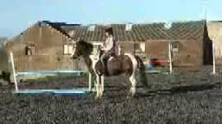 Flat Work 1