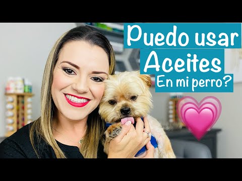 Video: ¿Se puede usar aceite de bebé en la piel de un perro?