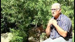 Le Grand Chikh Mouloud