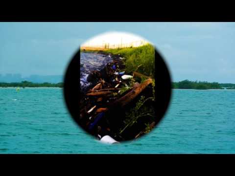 toxic-chemicals-in-our-oceans