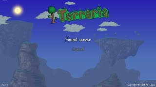 How to fix the 'Found server' error in Terraria