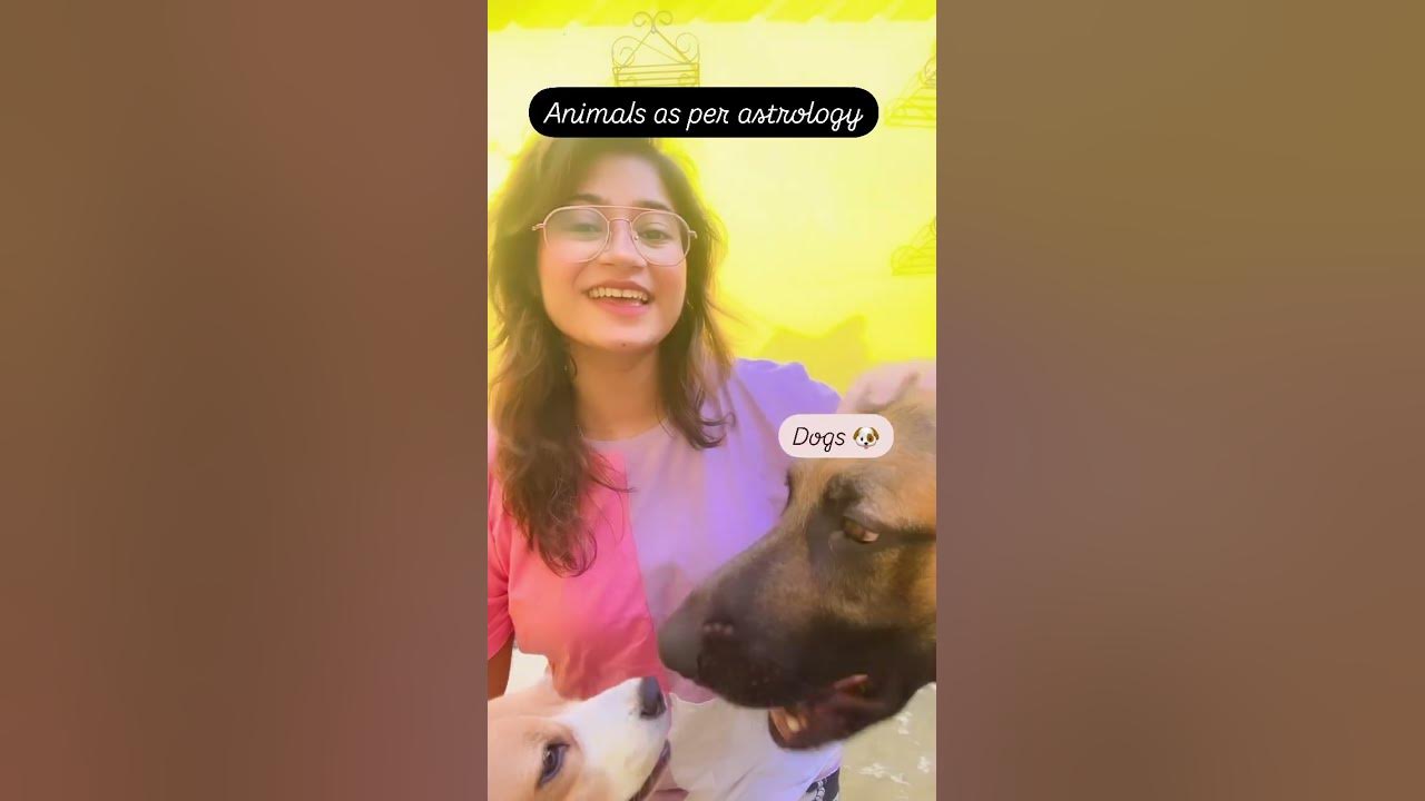 what-does-dogs-represent-in-astrology-astrology-tarotreader