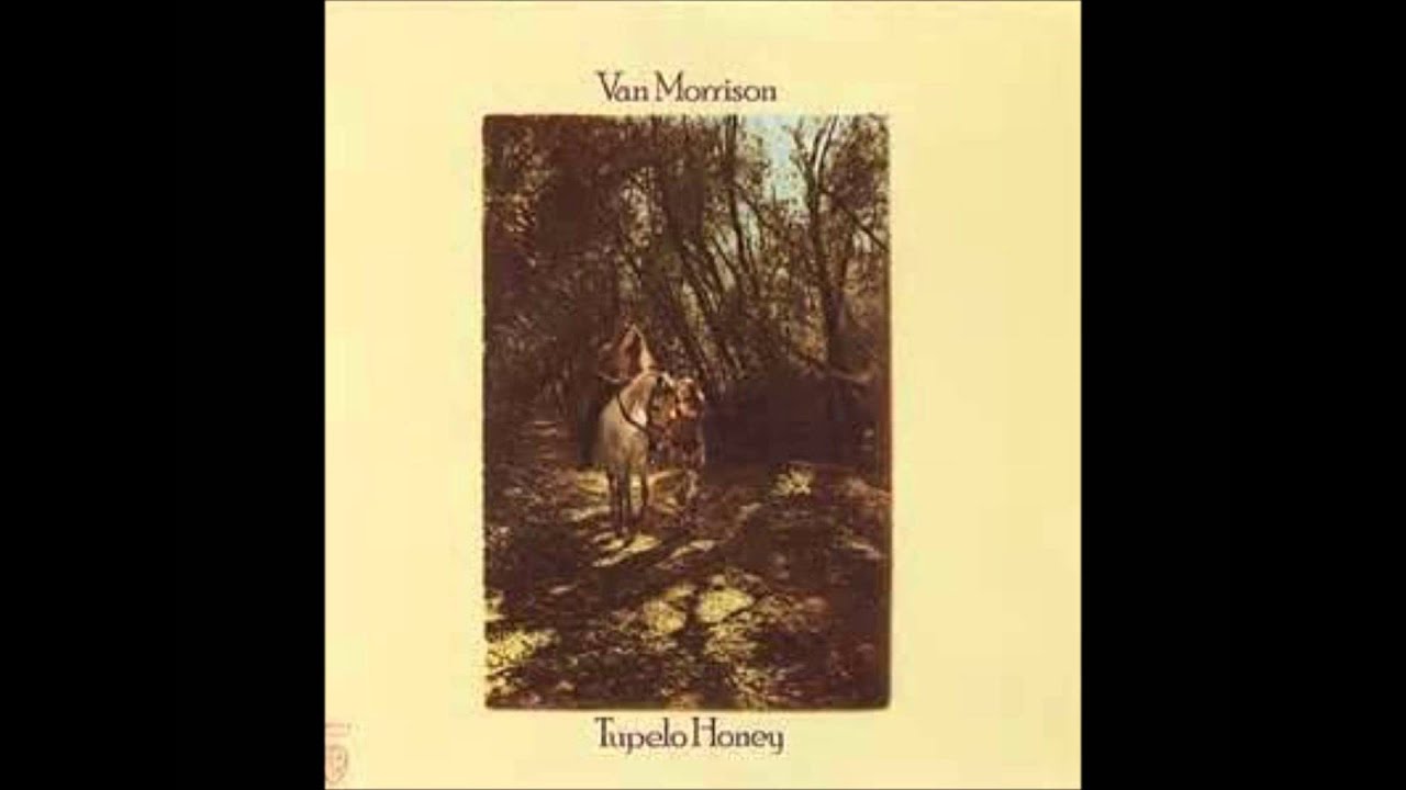 Van Morrison - Wild Night Lyrics AZLyricscom