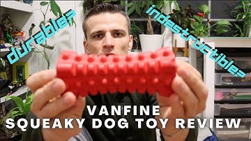VANFINE Squeaky Dog Toy Review
