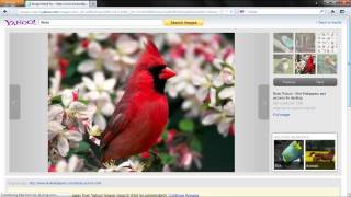 How to search the internet from My Yahoo