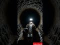 🦎 Tiny Camera Followed a Giant Monitor Lizard Underground… What It Found Was Terrifying 😨