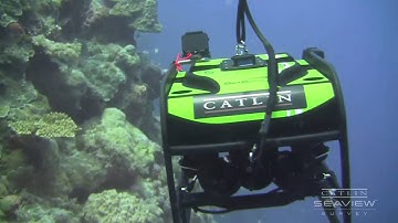 Monitoring the reef
