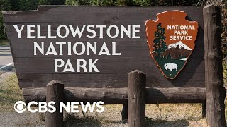 Debunking fake videos about volcanic eruption at Yellowstone National Park Net Worth