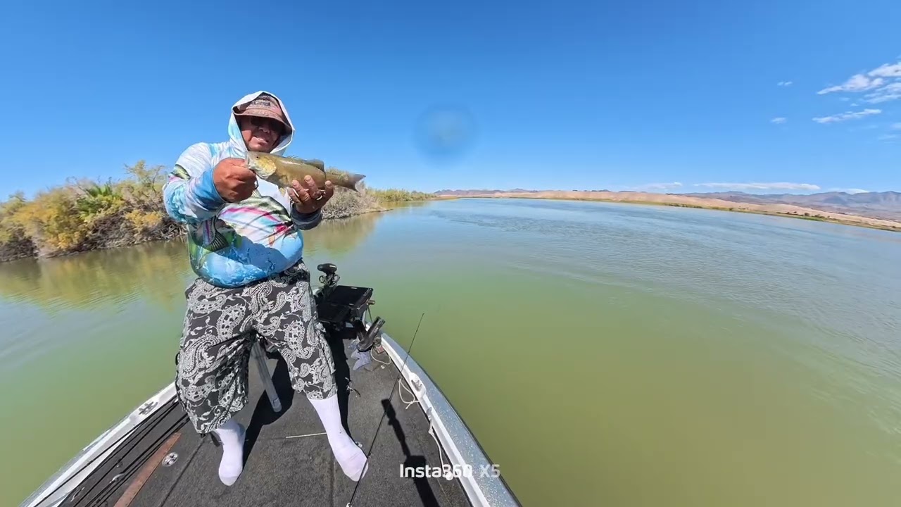 Havasu lake pre bass fishing tournament