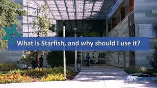 MJC Starfish Promo