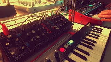 Behringer Model D and Deepmind 12 - Contorted drone