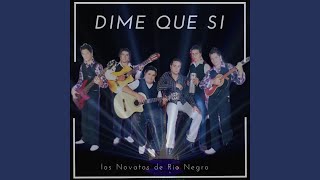 Video thumbnail of "Los Novatos Music - Te Voy a Olvidar"