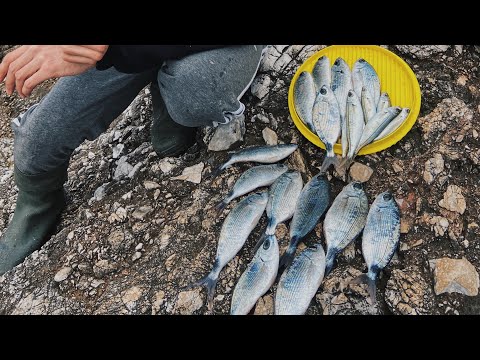 Alanya Melanur Avı