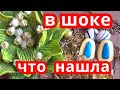 ВИНТАЖНЫЕ НАХОДКИ бижутерии .Великолепная музыкальная шкатулка ландыши меня поразила.