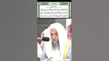 سورة التكاثر قراءة الشيخ فيصل غزاوي