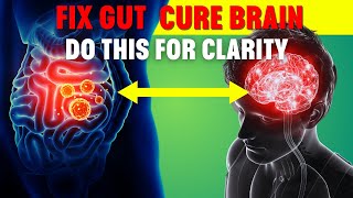 Gut and Mental Health: The Surprising Connection | Cure Your Mental Health Disorder